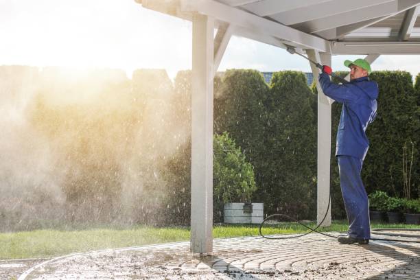 Best Pre-Holiday Cleaning  in Chilhowie, VA