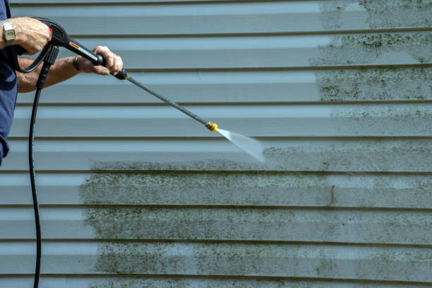 Best Rust Removal  in Chilhowie, VA